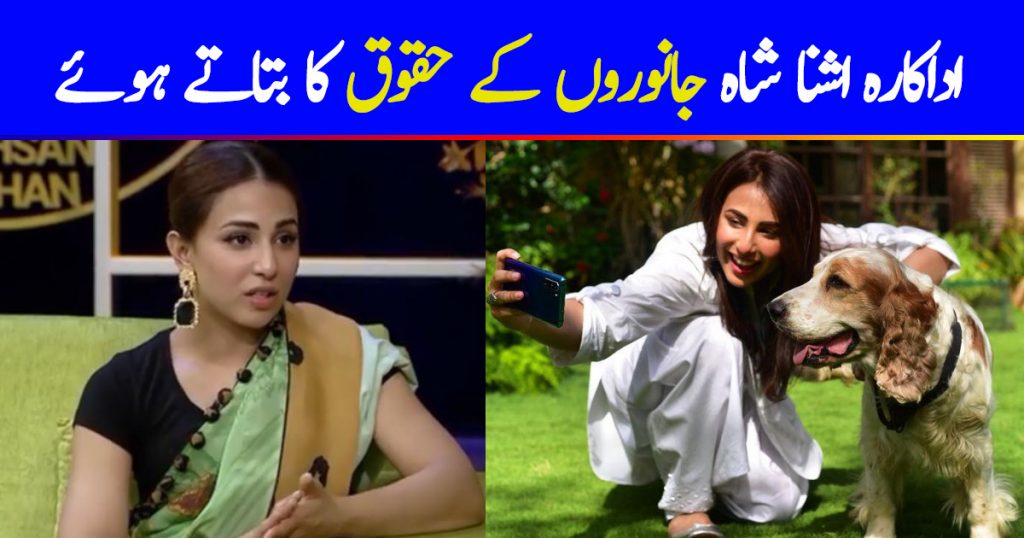 Ushna Shah Speaks Out Loudly For Animal Rights