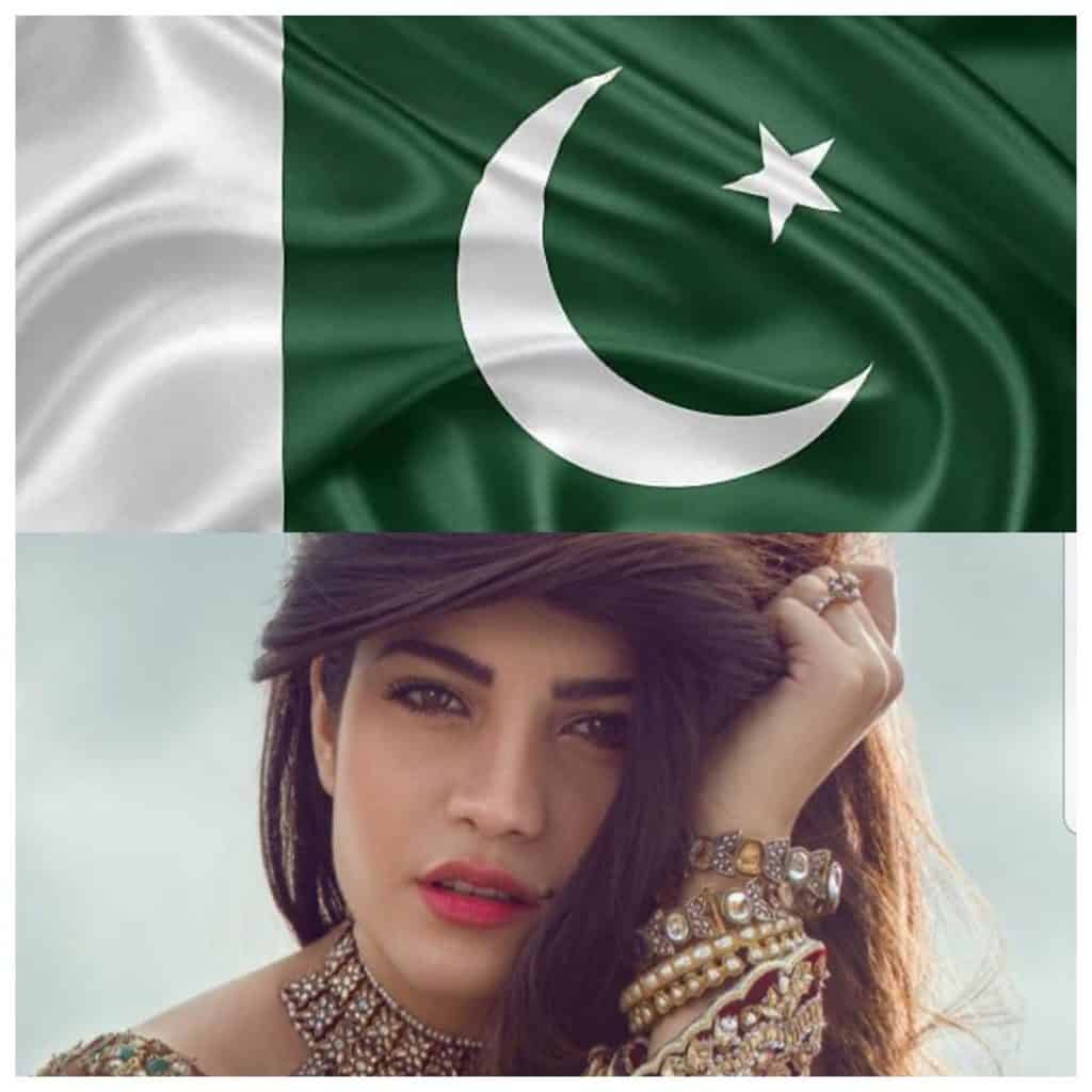 Celebrities Pictures on Pakistan Day -2020