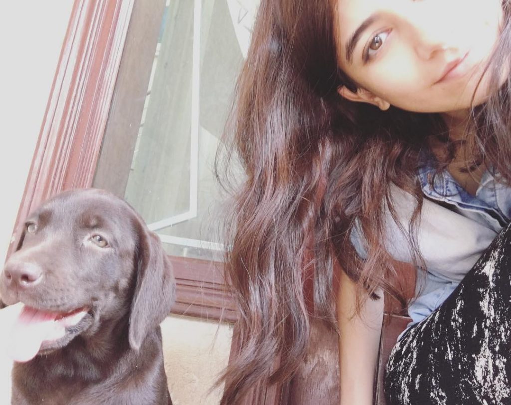 Pakistani Celebrities Who are Fond of Pet Dogs