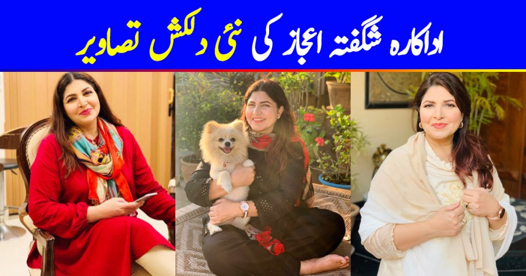 Beautiful Pictures of Evergreen Actress Shagufta Ejaz