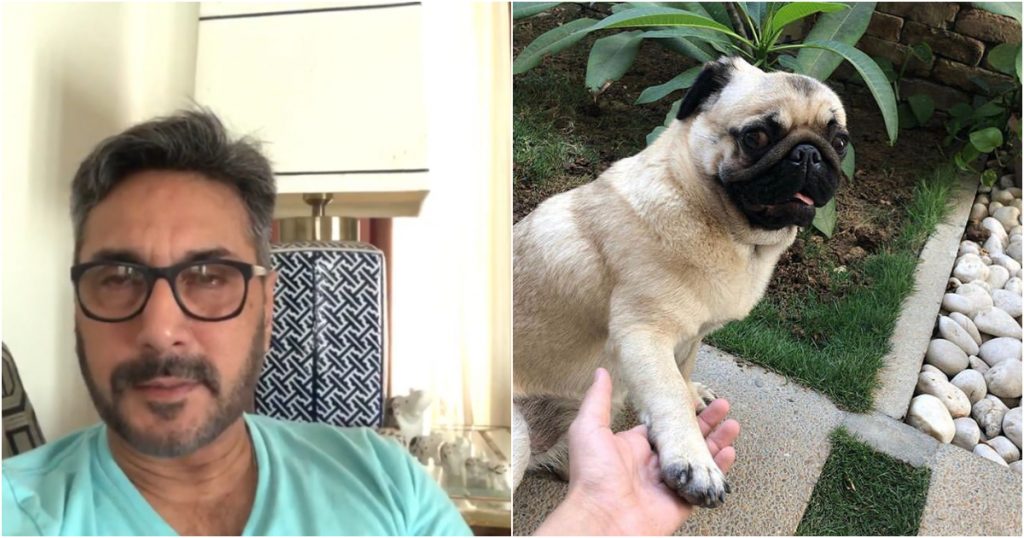 Adnan Siddiqui Asks For Help For His Missing Puppy