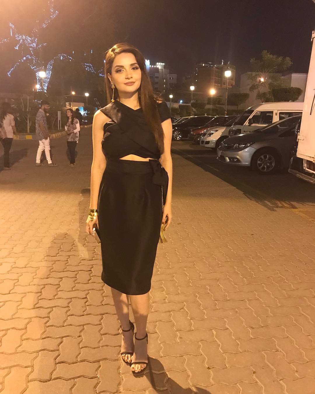 Armeena Khan Sister 5