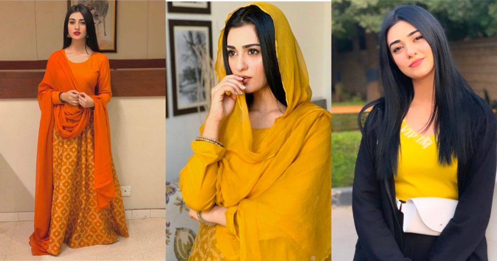 Sarah Khan To Work In A Web Series