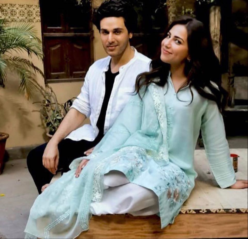 New Pakistani Dramas You Must Watch in 2020