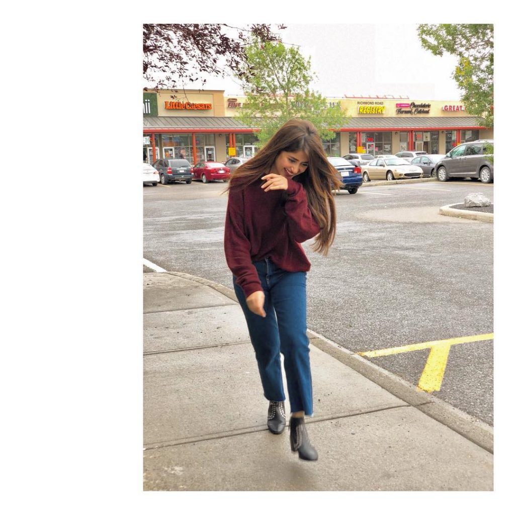 Sajal Ali - Complete Information