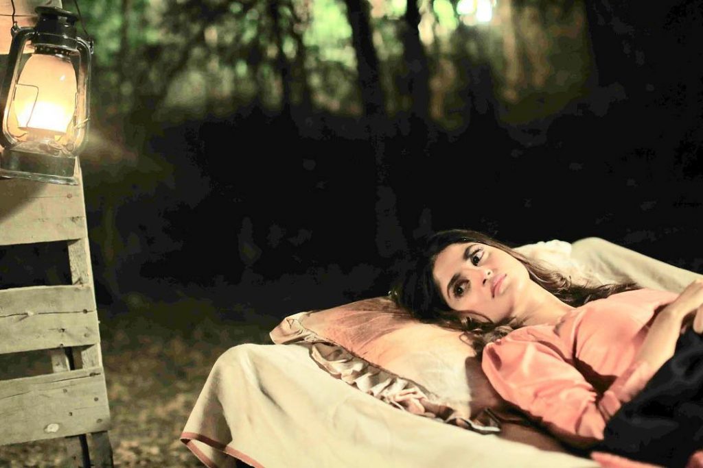Sajal Ali - Complete Information