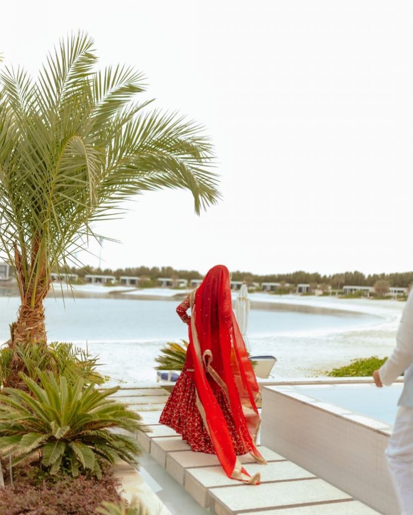 Sajal Ali - Complete Information