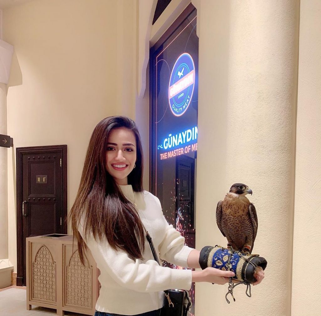 Beautiful Pictures of Sana Javed in a Casual Attire