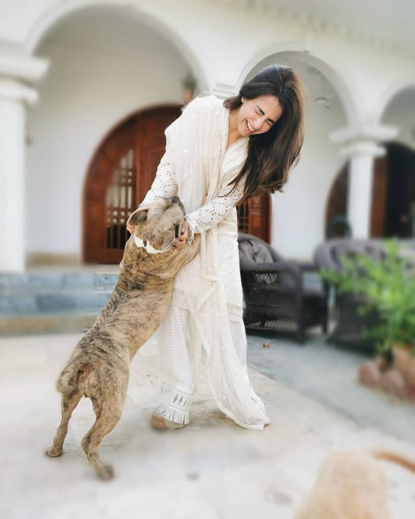 Ushna Shah Shares Heartbreaking Incident Of Brutality Against A Stray Dog