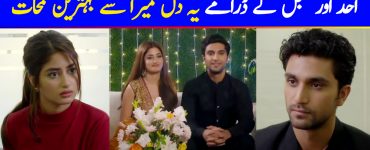 Ahad Raza Mir and Sajal Aly - 10 Best Moments From Ye Dil Mera