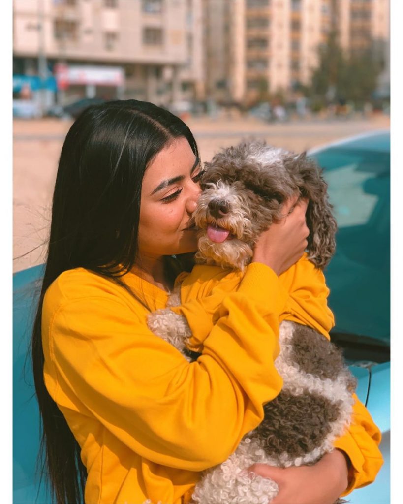 Getting To Know Areeka Haq – The TikTok Star