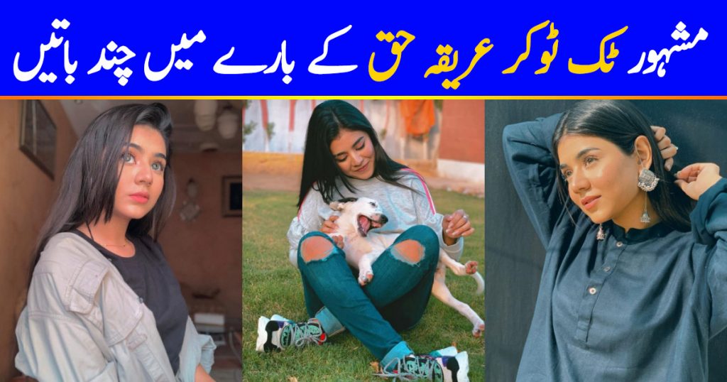 Getting To Know Areeka Haq – The TikTok Star