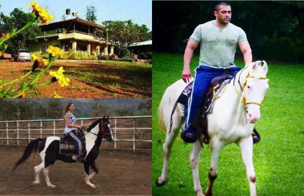 Salman Khan Luxurious Farmhouse During Lock Down