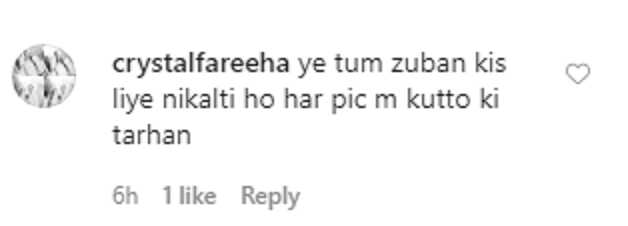 Hate Comments Pour On Aima Baig's New Picture With Shahbaz Shigri