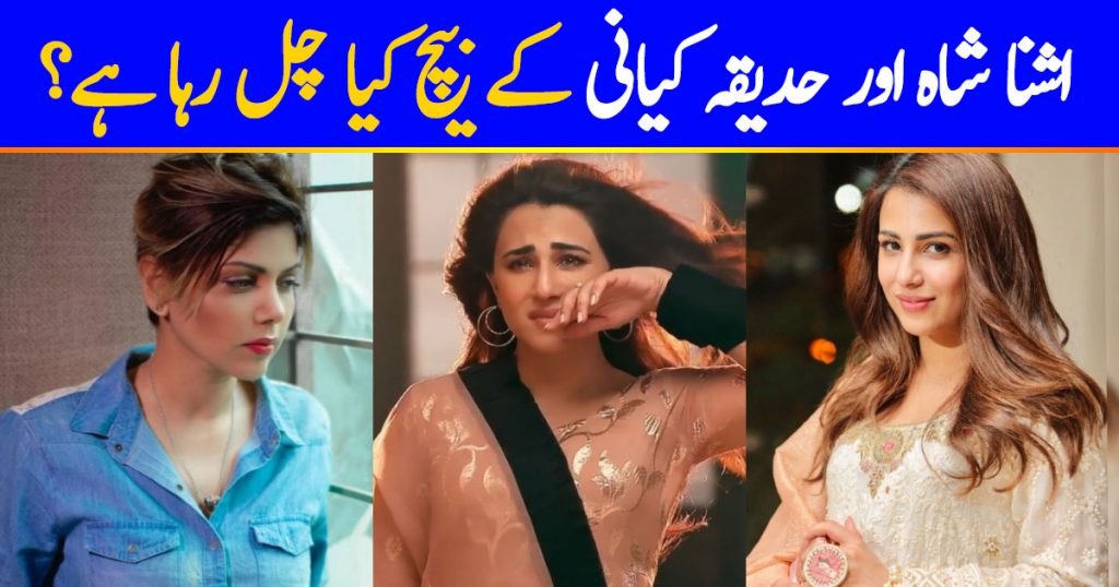 Ushan Shah And Hadiqa Kiani Controversy