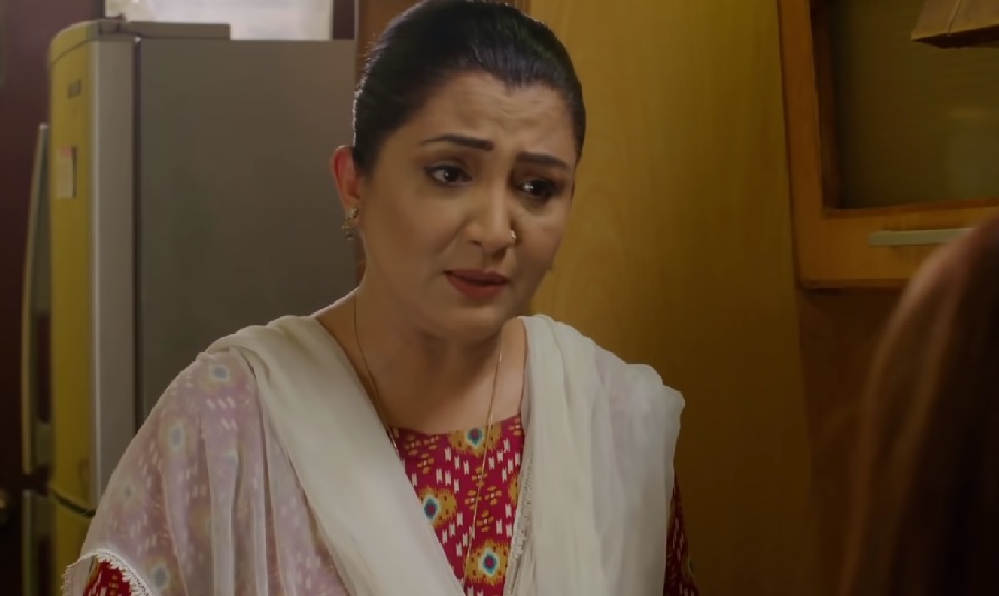 Best Mothers-In-Law In Pakistani Dramas