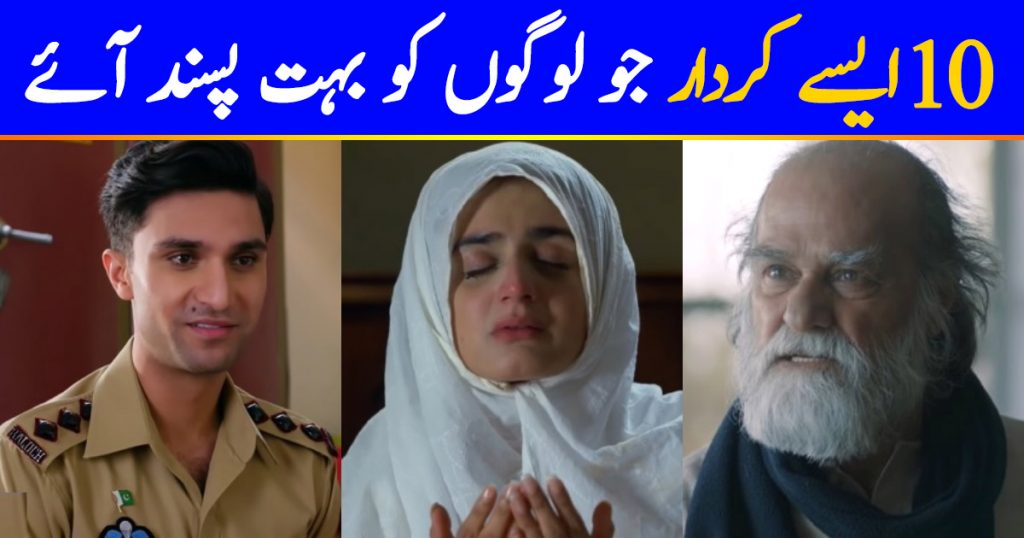 10 Pakistani Drama Characters Viewers Loved