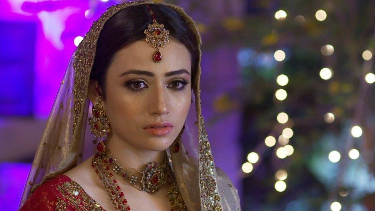 Pakistani Dramas Which Made Actors More Popular