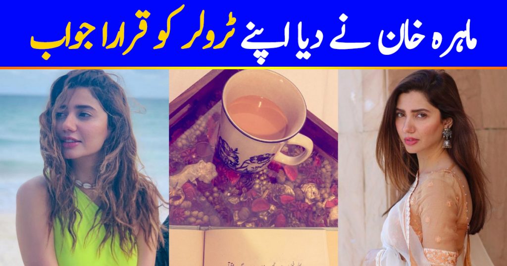 Mahira Khan Hits Back At Hater