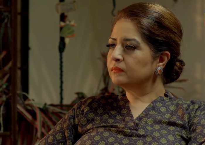 Worst Parents In Recent Pakistani Dramas