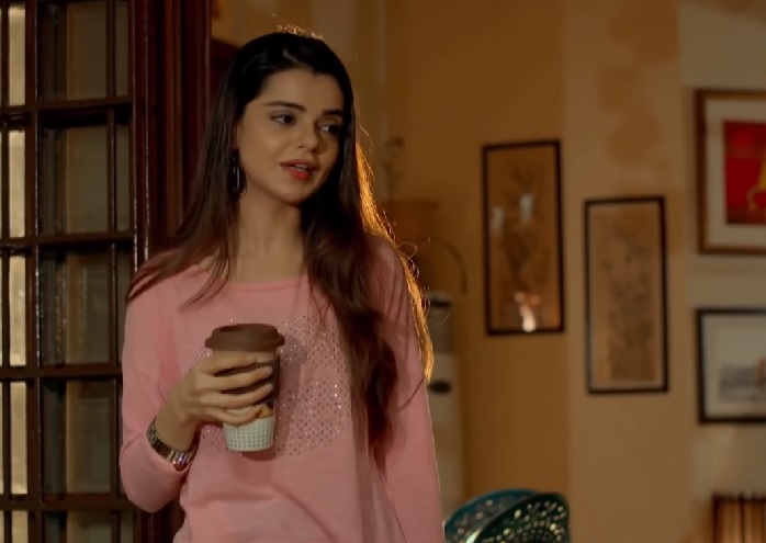 Strong Female Characters In Recent Pakistani Dramas