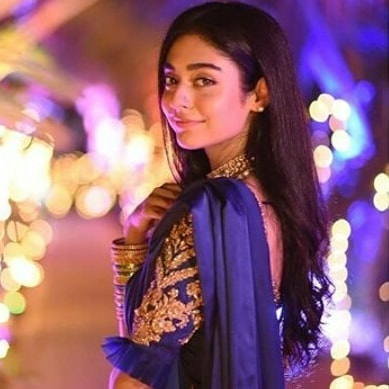 Noor Khan Beautiful Pictures from at her Sister Sarah Khan Wedding