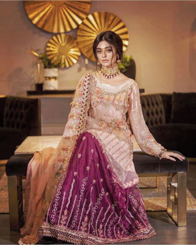 Desi Looks of Noor Zafar Khan