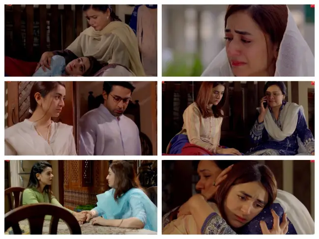 Pyar Ke Sadqay Episode 27 Story Review - Important Developments