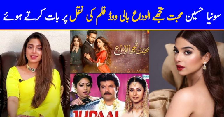 Sonya Hussyn Reacts To Mohabbat Tujhe Alvida Being Called A Copy Of Bollywood Film