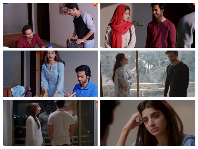 Sabaat Episode 17 Story Review - The Proposal