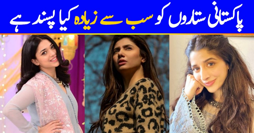 Favorite Things of Pakistani Celebrities