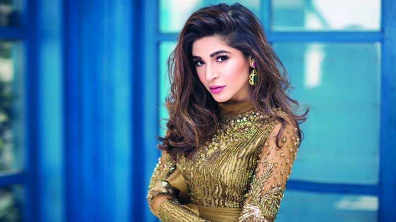 Famous Pakistani Celebrities Who Have An Expensive Taste