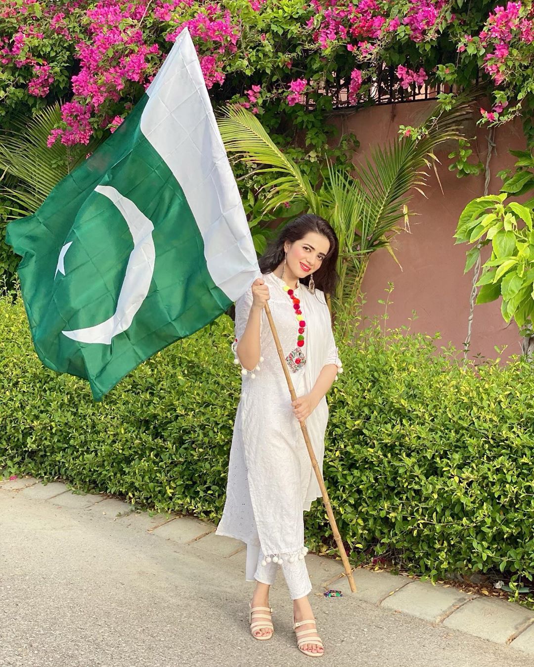 Pakistani Celebrities Pictures from independence Day