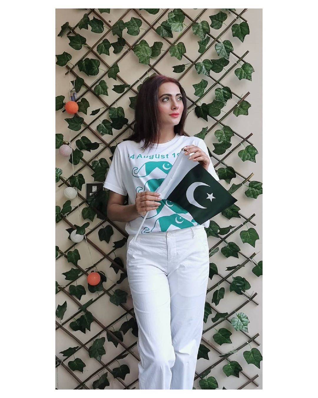 Pakistani Celebrities Pictures from independence Day