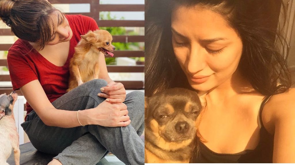 Adorable Pictures of Mehwish Hayat with her Pet Doggies