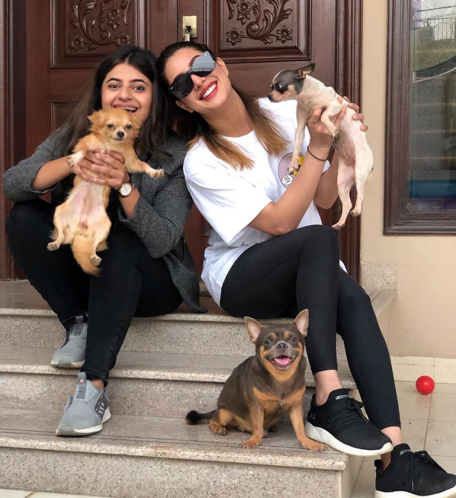 Adorable Pictures of Mehwish Hayat with her Pet Doggies