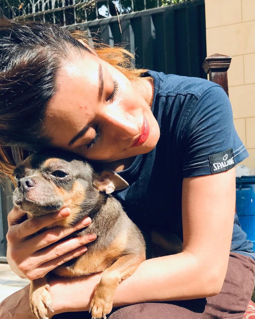 Adorable Pictures of Mehwish Hayat with her Pet Doggies