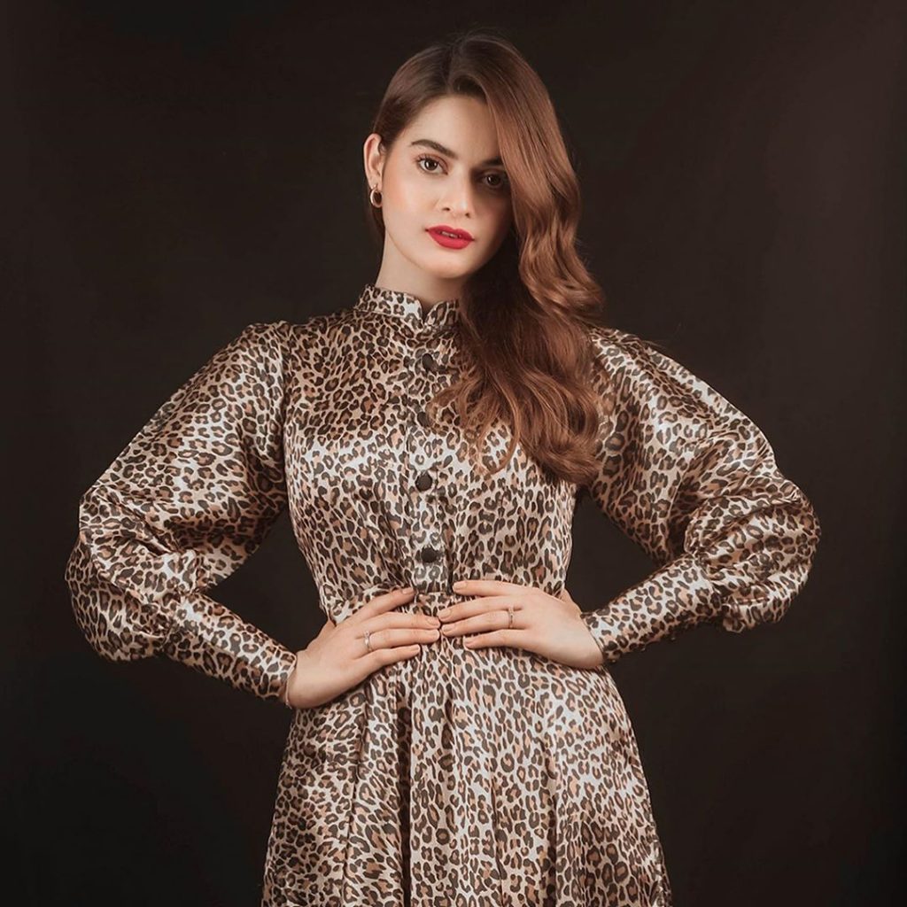Top 10 Beautiful Dresses Worn By Minal Khan
