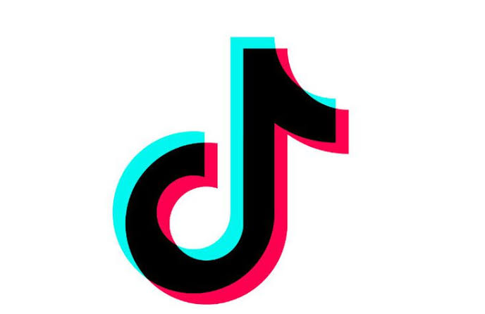 93,000 Pakistani TikTok Accounts Banned Over PTA's Request