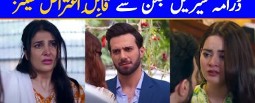 Questionable Scenes From Drama Serial Jalan