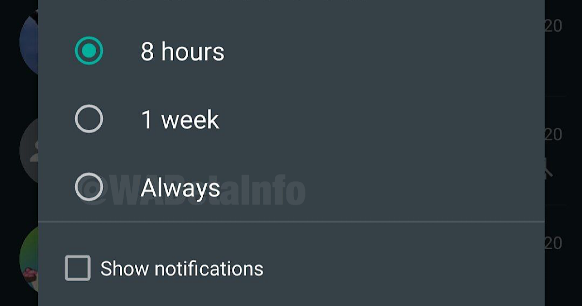 Whatsapp Forever  Mute Feature 