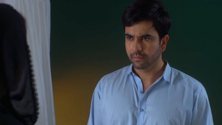 Pakistani Actors Who Owned Their Characters This Season | Reviewit.pk
