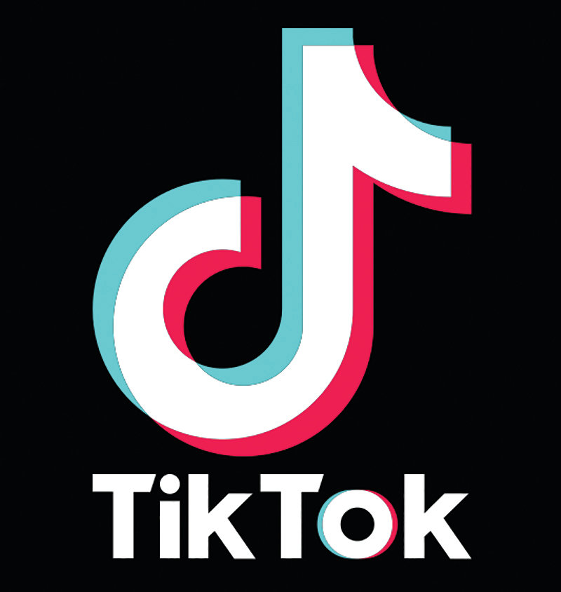 Famous TikTok Stars Made It To The Television