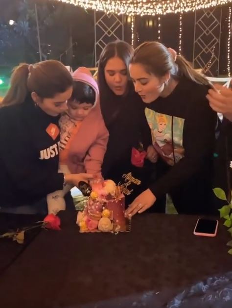 The Viral Videos From Aiman Minal Birthday Bash - Public Criticism