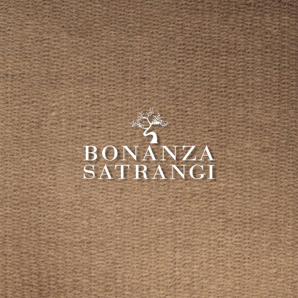 Bonanza Satrangi Winter Collection 2020 | Prices And Pics