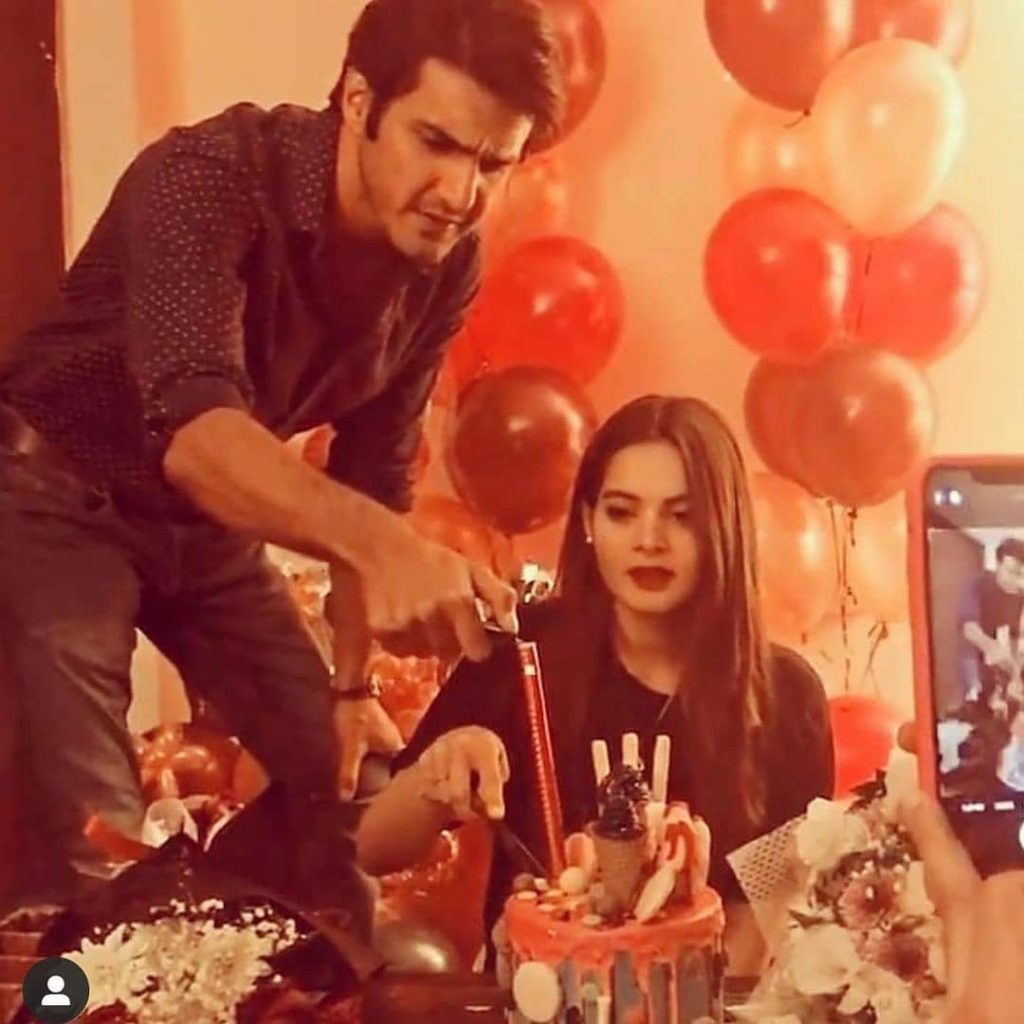 The Viral Videos From Aiman Minal Birthday Bash - Public Criticism