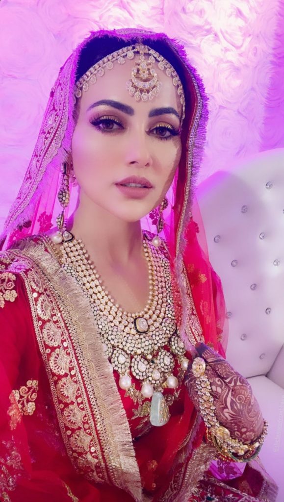 Big Boss Fame Star Sana Khan Got Married