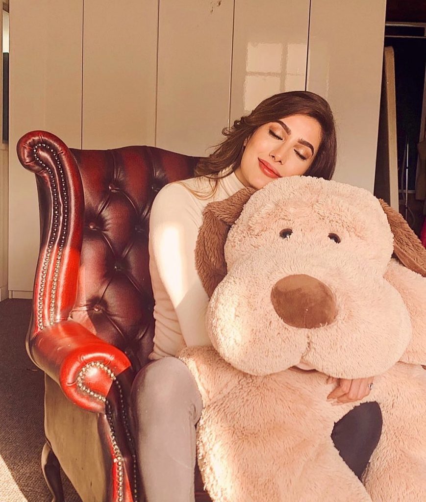 Best Photo Portraits of Mehwish Hayat - Latest Pictures