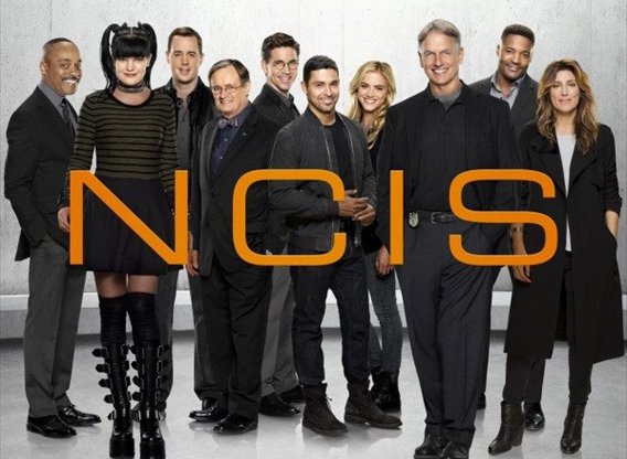 NCIS Cast In Real Life | Reviewit.pk
