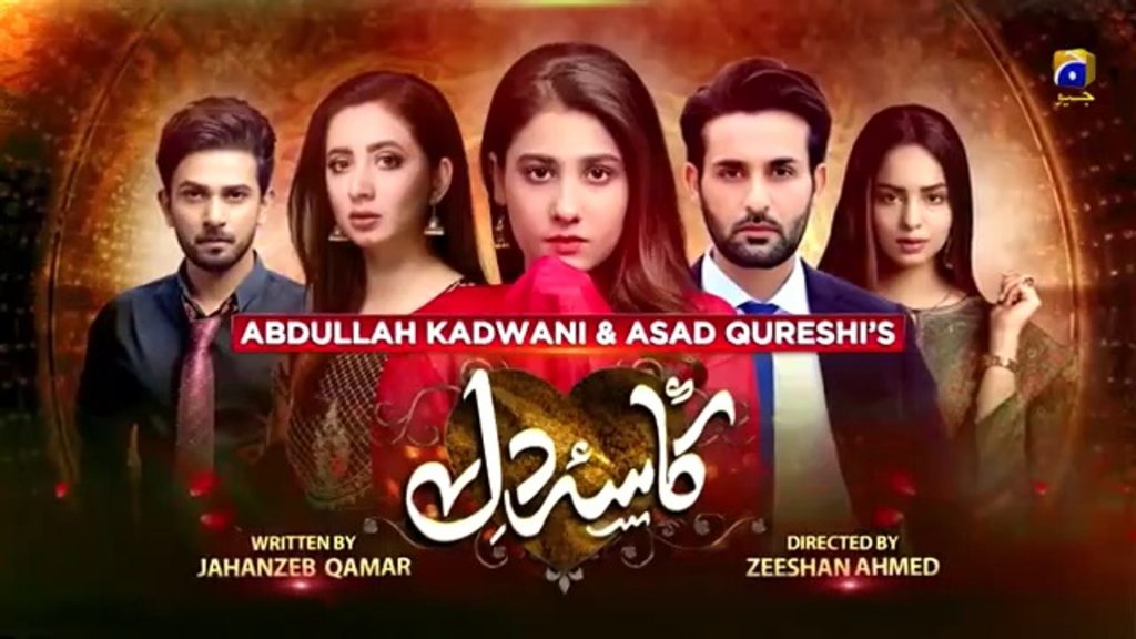 Kasa-E-Dil Drama Cast In Real Life